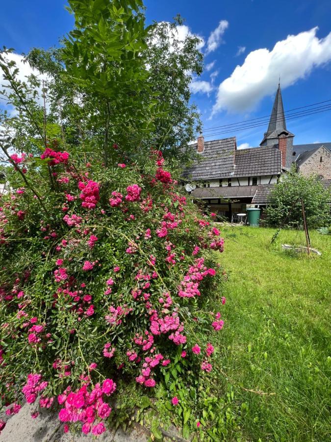فيلا 300 Jahre Altes Renoviertes Fachwerkhaus Peterslahr المظهر الخارجي الصورة